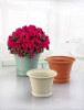 Wholesale Plastic Vase