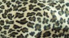 100% polyester short floss/short velvet with Tiger print bonded with withe card