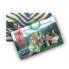 Card USB Flash Drive