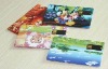 Wholesale credit card usb