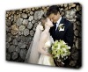 Wholesale inkjet canvas &art canvas