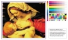 Wholesale cotton canvas(matt,waterproof,coated,260gsm)