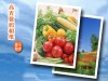 A4 single glossy inkjet printing paper for photography and advertising