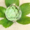 Wholesale clear glass ball lamparts for Chandelier decorations