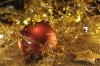 Wholesale Ball christmas decoration