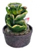 Wholesale Small bird table water fountain with Battery indoor ornaments