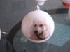 Wholesale White animal printed christmas ball