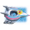 Wholesale baby float