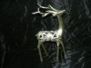 Wholesale Hollow Reindeer Decoration
