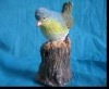 Wholesale Induction Birds