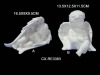 Wholesale Porcelain Angel