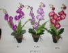 Wholesale WF30670 ARTIFICIAL ORCHID