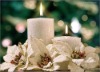Wholesale Christmas Party candle