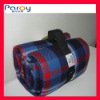 picnic mat