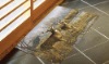 Wholesale Attractive Reindeer Design Rug/door mat(2DM0177)
