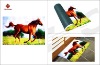Wholesale Doormat(2DM0285)