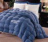 Luxurious down comforter