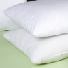 Wholesale terry waterproof pillow case