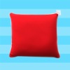 Wholesale 2010 latest fashional filled cushions