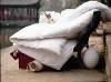 comforter duvet set