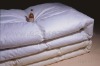 Wholesale Hotel Down Duvet,Quilt,Comforter