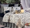 Wholesale 2010 newest fashional comforter set