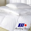 Wholesale 70% white duck down quilt