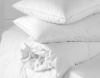 Wholesale Goose & down pillow