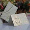 Wholesale wedding invitations/wedding cards/handmade cards/Christmas Cards/wedding gift -- T167