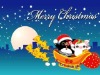Wholesale high glossy lovely CTB-039 paper christmas greeting card