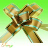 Butterfly Pull Flower or Gift Wrap