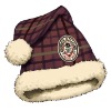 Wholesale Christmas hat (H-064)