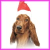Wholesale santa's hat