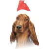 Wholesale santa hat