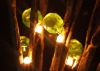 Wholesale LED Christmas tree light,christmas lights