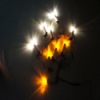 Wholesale new design christmas decoration led light(CE&ROHS approval)