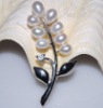 Wholesale fashion copper alloy brooch with natural pearl
