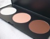 Wholesale 3 color Contour Face Power