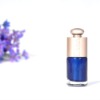 Wholesale Personnalit Style Nail Paint Polish