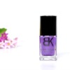 Wholesale Popular Nail Paint Polish