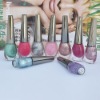 Wholesale Wholesale Suppliers Nail Art Design Polish