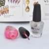 Wholesale Professional Fashion Nail Art Polish