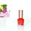 Wholesale Fashion Sexy Nail Beauty Care Polish