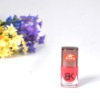 Wholesale Wholesale Nail Paint Polish