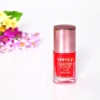 Wholesale OEM Fashion Color Art Nail Polish