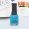 Wholesale Fashion Nail Art Polish