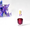 Wholesale 2011 New Nail Art Polish Set