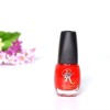 Wholesale Made in China Nail Beauty Polish