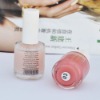 Wholesale Popular New Art Nail Polish