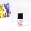 Wholesale 2011 New Design Nail Care Polish